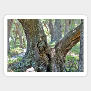 Spooky Face In A Tree Sticker